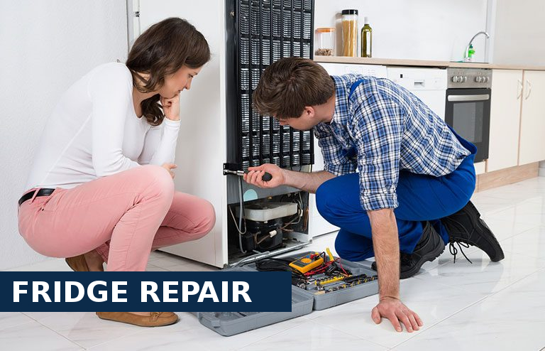 Fridge Repair Chelsea